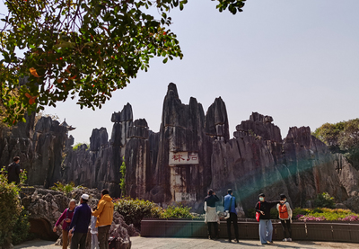 云南石林景區(qū)恢復(fù)開(kāi)放 重開(kāi)首日安全有序
