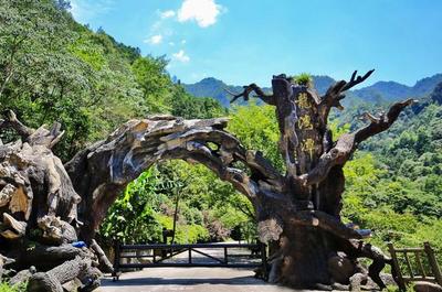 魔鬼秋千爆紅全網(wǎng) 浙旅集團(tuán)深度體驗旅游產(chǎn)品成效凸顯，景區(qū)管理再升級