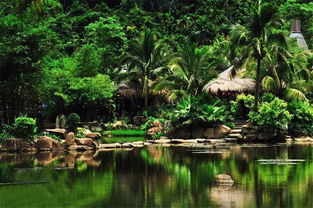 在溫暖保亭遇見那香山，探索大三亞旅游經(jīng)濟圈的景區(qū)管理之道